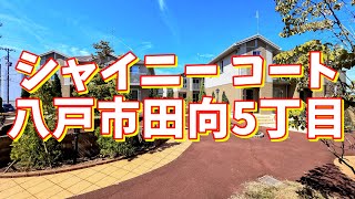 シャイニー コート B101／青森県八戸市田向5丁目／3LDK 八戸不動産情報館｜八戸市の不動産なら八代産業株式会社 賃貸、土地、中古住宅、アパート、マンション等