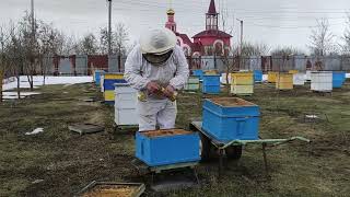 Первая весенняя работа на пасеке. Замена дна в ульях