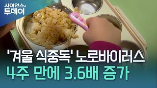 '겨울 식중독' 노로바이러스 감염, 4주 만에 3.6배 증가 / YTN 사이언스