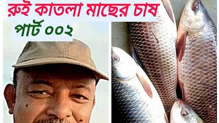 Rui Catla fish culture । Part 002 । রুই কাতলা মাছের চাষ। পর্ব ০০২ । Abeed Lateef