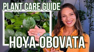 Tipsy Hoya Obovata Care Tips | Houseplant Care Guide!
