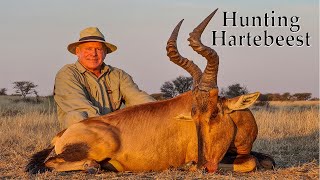 Red Hartebeest Hunt with White Lion Safaris 2021