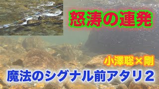 鮎釣り 小沢聡×剛前アタリ2  怒涛の連発