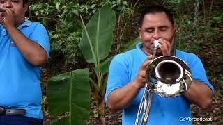 Banda de Viento  Halcón