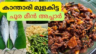 കാന്താരി മുളക് ഇട്ട ചൂര മീൻ അച്ചാർ | tuna pickle Kerala style | Kerala fish pickle recipe