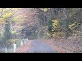 県道65号線（上杉越）の紅葉　 2020 11 10 　途中の道筋の紅葉をスマホで撮影しました。