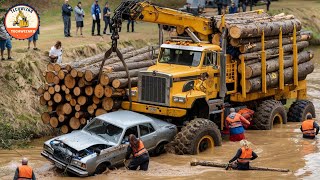 World's Biggest Logging Truck in Action, Incredible Heavy Equipment Machines #21