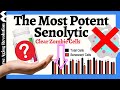 The MOST Potent Senolytic Which Also Activates Longevity Genes | Dr David Sinclair & Dr Kaufmann