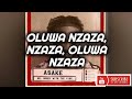 Akake Nzaza Lyrics #afrobeat #Askae #mrmoney #africa