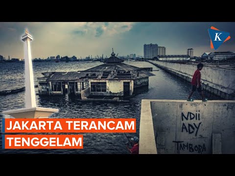 Jakarta Terancam Tenggelam Akibat Eksploitasi Air Tanah - YouTube