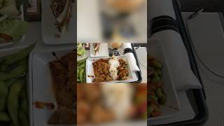 Airline Food Will Always Suck #food #airplane