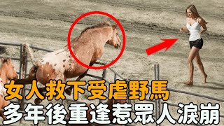 女人偶然救下受虐野馬，7年後再次重逢時，馬的這個舉動惹哭無數人.......|#溫暖 #感動 #不可思議 #報恩