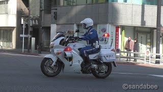 警視庁VFR800白バイ交通違反車両検挙。The police motorcycle which catches a traffic violation.