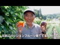 福島県田村市移住プロモーション動画『大阪て 番長た ったワイ、田村市に乗り込んた 』