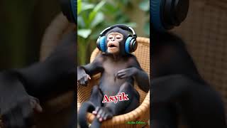 singing and shouting Happy. #animalfacts #animalkingdom #rareanimals #monkey #disney