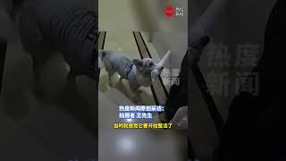 主人带狗狗遛弯提早回家，路上让狗子帮忙拿快递，没想到狗子咬着快递打主人