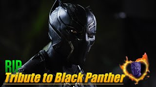 Tribute to Black Panther- Chadwick Boseman || The Switcher Gaming