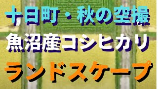 秋の空撮／魚沼産コシヒカリのランドスケープ＠新潟県十日町市