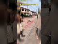 NI YANG ABG INDIA BUAT SEMPENA DEEPAVALI  BARU² INI, CONTOH BAIK YANG BOLEH DI IKUT‼️#shorts