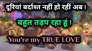 🧚💞 Current Feelings with Next Action 📞🫂 Divine Guidance ⚖️👩‍❤️‍👨💐all signs collective timeless tarot