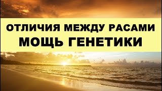 Генетику пальцем НЕ раздавишь! В чём различие между разными Расами людей?