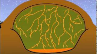 How Does a Modern Landfill Work?