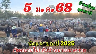 5 ม.ค.68 นัดแรกแห่งปีตลาดนัดโคกระบือบ้านเทื่อม อ.บ้านผือ จ.อุดรธานี (EP1/68)