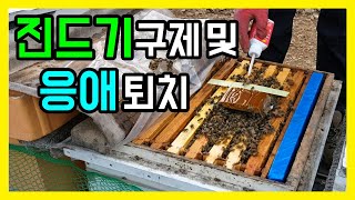 응애 퇴치와 진드기 구제 하는 약을 뿌려주었습니다 / 월동 준비