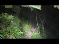 Live misteri‼️ Penelusuran di balik rimbun nya hutan.