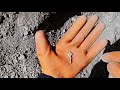 Gold Found In Afghanistan | Metal Detector Gold Mining