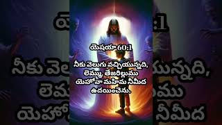 వెలుగు ఉదయించెను