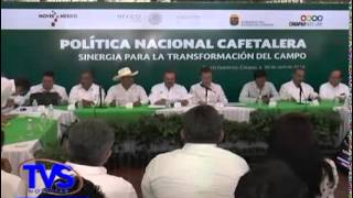 TVS Chiapas.-Política Nacional Cafetalera beneficiará a más de 180 mil productores de Chiapas.