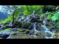 Soothing Piano Music & the Sound of Water Flowing 24/7 - Ideal for Stress Relief and Healing