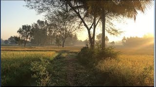 Indian Village Views [ Somanathapura, Mysore, Karnataka, india ]