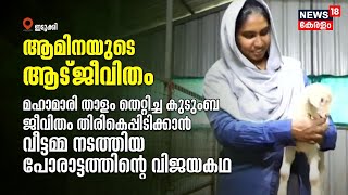 എല്ലാവർക്കും മാതൃകയായി ആട് വളർത്തലിൽ വിജയം കൈവരിച്ച Idukkiയിലെ ആമിനയുടെ ജീവിതം