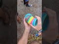 Snatching a bottle (slinky tricks)