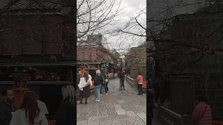 2024年12月10日（火）冬の京都祇園白川は超ガラガラ！？祇園白川〜八坂神社を歩く。冬天的京都只园白河超空！ ？行走在祗园白河和八坂神社之间。Kyoto Gion Shirakawa