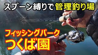 【スプーン縛り】フィッシングパークつくば園～【エリアトラウト】2020年12月下旬/[Trout Area] Spoon only‐Fishing Park Thukubaen