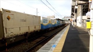 JR貨物 EF210-145号機[吹]+コキ24B　貨物列車7053レ【元SANYOコンテナ積載!!】