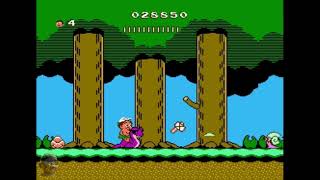 Adventure Island II - NES #retrogaming