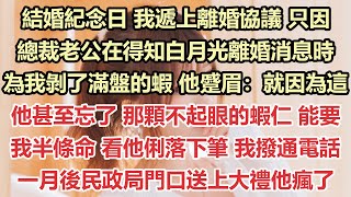 結婚紀念日，我遞上離婚協議，只因總裁老公在得知白月光離婚消息時，為我剝了滿盤的蝦，他蹙眉：就因為這，他甚至忘了，那顆不起眼的蝦仁，能要我半條命，看他俐落下筆，我撥通電話，一月後民政局門口送上大禮他瘋了