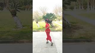 小女孩练功夫《少林五步拳》第一段 #功夫 #武术 #少儿武术 1