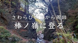 棒ノ嶺に登る 〜さわらびの湯から周回〜