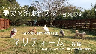 【愛犬と泊まれる宿】後編「マリティーム」後編 1日3組限定のお宿 一望の海と絶品創作海鮮料理❗GoToトラベルクーポンでお得に宿泊