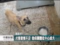 20120910 公視中晝新聞 收容所犬隻過瘦 動保團體批虐犬.