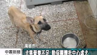 20120910-公視中晝新聞-    收容所犬隻過瘦 動保團體批虐犬.