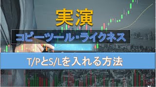 新たな発見!コピーツールを使ってT/P S/L を設定する方法 #コピーツール #ea #fx #自動売買