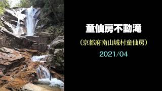 童仙房不動滝（京都府南山城村童仙房）・・・2021/04