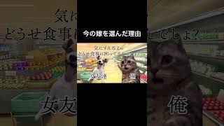 今の嫁を選んだ理由 #猫ミーム