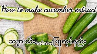 သခွားသီး extract ပြုလုပ်နည်း How to make cucumber extract #cucumberextract #extract